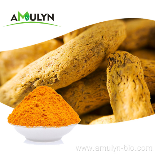 AMULYN Health Care Organic Turmeric Extract